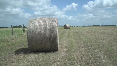 Men working on Farm Ranch and Cattle in countryside Stock Footage 111027019
