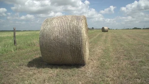 Men working on Farm Ranch and Cattle in countryside Stock Footage 111027135