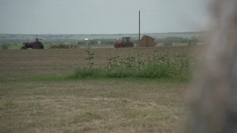 Men working on Farm Ranch and Cattle in countryside 库存影片 111028077