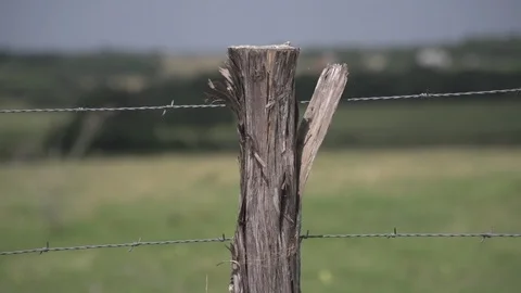 Men working on Farm Ranch and Cattle in countryside Stock Footage 111028359