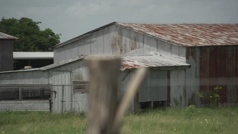 Men working on Farm Ranch and Cattle in countryside Stock Footage 111028435