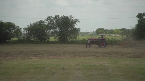 Men working on Farm Ranch and Cattle in countryside 库存影片 111029402