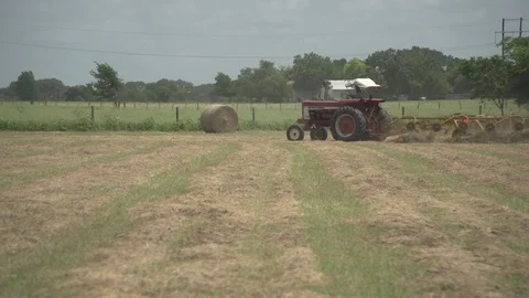 Men working on Farm Ranch and Cattle in countryside Stock Footage 111030480