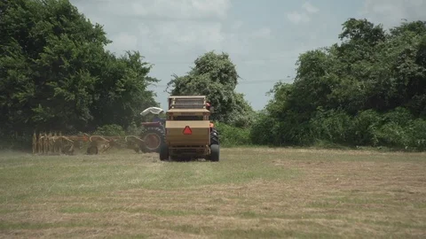 Men working on Farm Ranch and Cattle in countryside Stock Footage 111032142