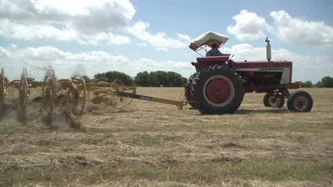 Men working on Farm Ranch and Cattle in countryside Stock Footage 111033285