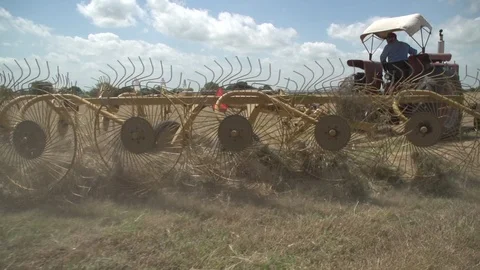 Men working on Farm Ranch and Cattle in countryside Stock Footage 111033792
