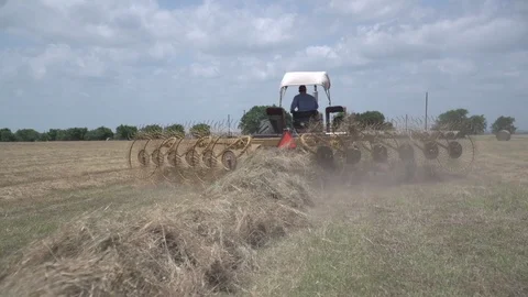 Men working on Farm Ranch and Cattle in countryside Stock Footage 111034112