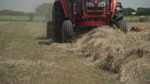 Men working on Farm Ranch and Cattle in countryside Stock Footage 111034285