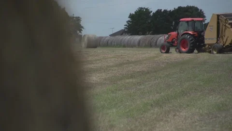 Men working on Farm Ranch and Cattle in countryside Stock Footage 111034997