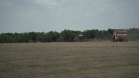Men working on Farm Ranch and Cattle in countryside Video stock 111035115