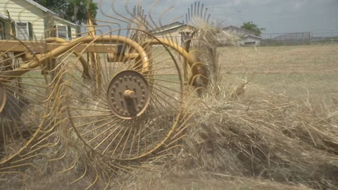 Men working on Farm Ranch and Cattle in countryside Stock Footage 111035770