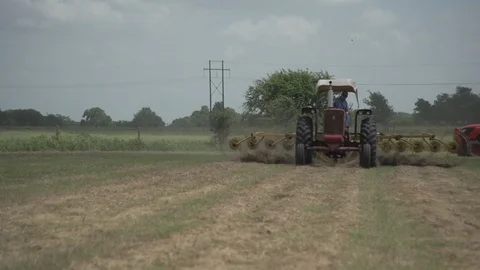 Men working on Farm Ranch and Cattle in countryside Stock Footage 111036308