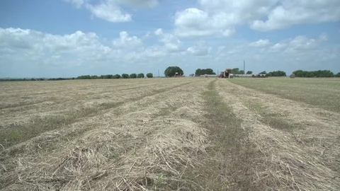 Men working on Farm Ranch and Cattle in countryside Stock Footage 111036508