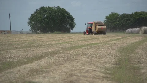 Men working on Farm Ranch and Cattle in countryside Stock Footage 111036721