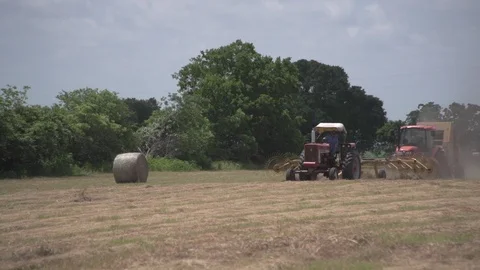 Men working on Farm Ranch and Cattle in countryside Video stock 111036898