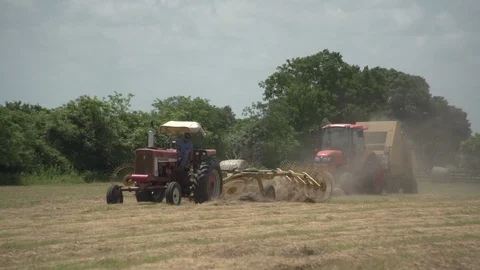 Men working on Farm Ranch and Cattle in countryside Video stock 111037049