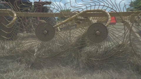Men working on Farm Ranch and Cattle in countryside Stock Footage 111037109