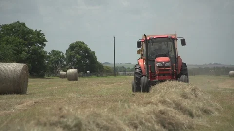 Men working on Farm Ranch and Cattle in countryside Stock Footage 111037400