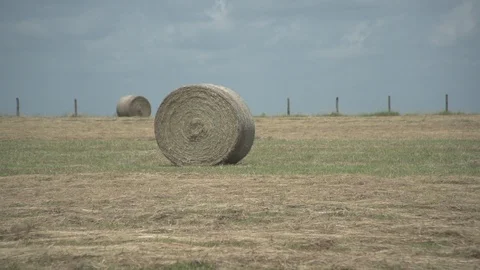 Men working on Farm Ranch and Cattle in countryside Stock Footage 111037987
