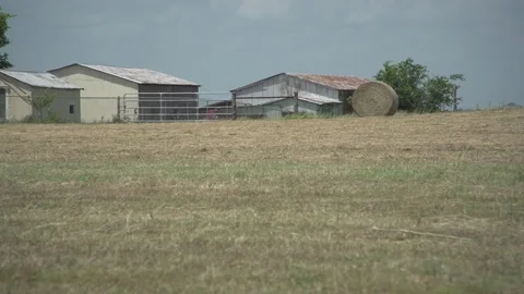 Men working on Farm Ranch and Cattle in countryside Stock Footage 111038047