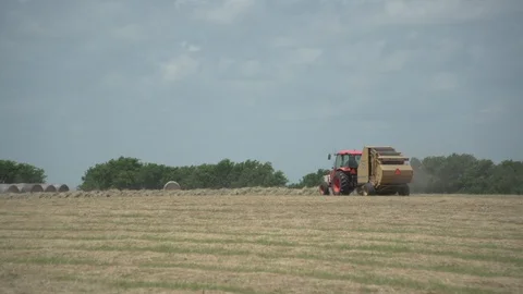 Men working on Farm Ranch and Cattle in countryside Stock Footage 111038057