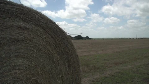 Men working on Farm Ranch and Cattle in countryside Stock Footage 111038098