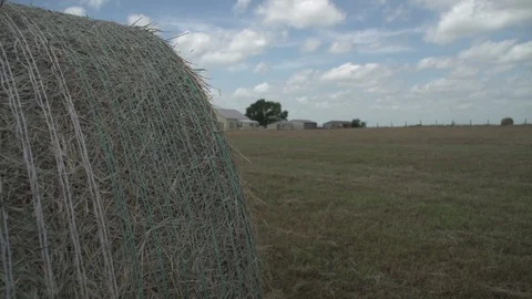 Men working on Farm Ranch and Cattle in countryside Stock Footage 111038146