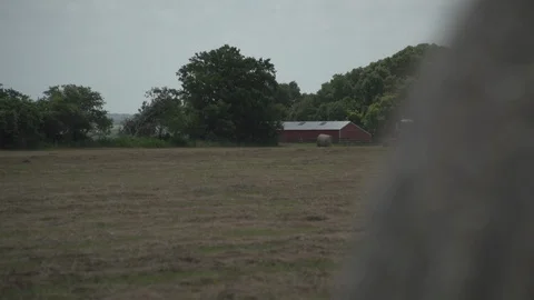 Men working on Farm Ranch and Cattle in countryside Stock Footage 111038167