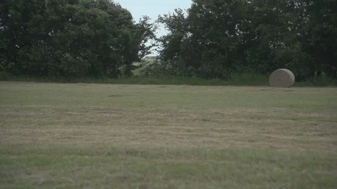 Men working on Farm Ranch and Cattle in countryside Stock Footage 111039995