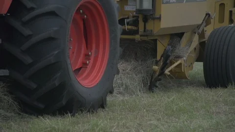 Men working on Farm Ranch and Cattle in countryside Video stock 111040654