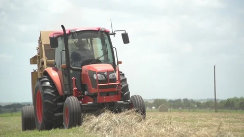 Men working on Farm Ranch and Cattle in countryside Stock Footage 111042002