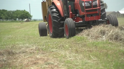 Men working on Farm Ranch and Cattle in countryside Stock Footage 111042966
