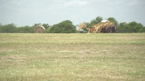 Men working on Farm Ranch and Cattle in countryside Stock Footage 111043922