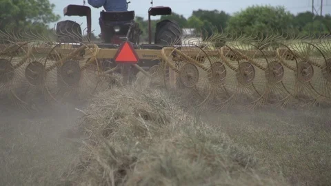 Men working on Farm Ranch and Cattle in countryside Video stock 111044347