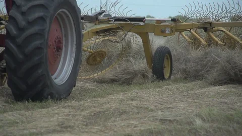 Men working on Farm Ranch and Cattle in countryside Stock Footage 111044548