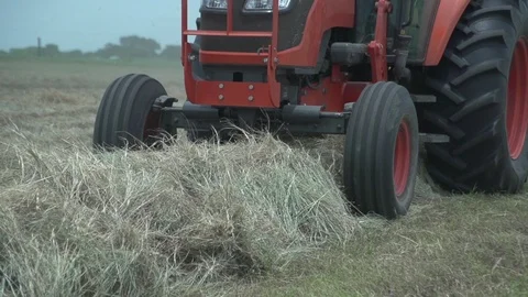 Men working on Farm Ranch and Cattle in countryside Stock Footage 111044744