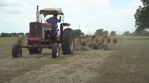 Men working on Farm Ranch and Cattle in countryside Stock Footage 111044811