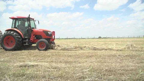 Men working on Farm Ranch and Cattle in countryside Stock Footage 111045384