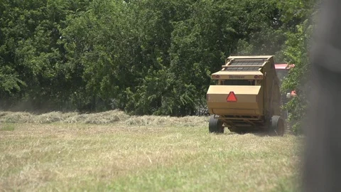 Men working on Farm Ranch and Cattle in countryside Stock Footage 111048329