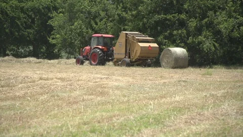 Men working on Farm Ranch and Cattle in countryside Stock Footage 111048670