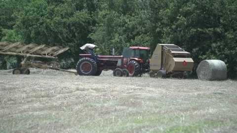 Men working on Farm Ranch and Cattle in countryside Stock Footage 111048868