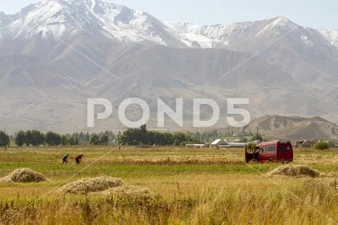 Men working fields in Kochkor Village, Kyrgyzstan Stock Photos