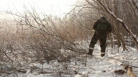 Men working at forest in winter, cutting trees Video stock 10835467