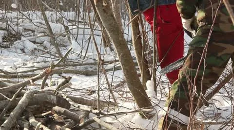 Men working at forest in winter, cutting trees Stock Footage 10835533