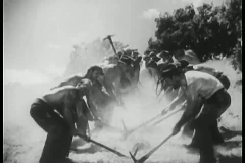 Men working the land with pick axes Stock Footage