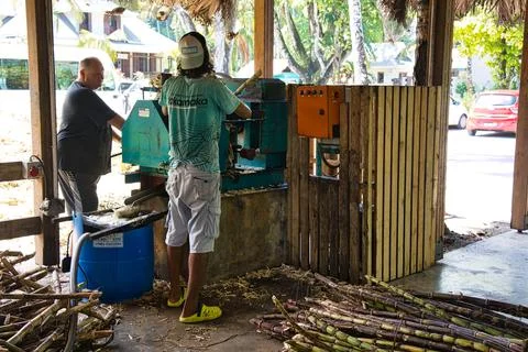 Men working at the rum distillery Stock Illustration
