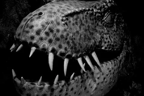 Menacing Alien Creature Close Up Black and White Stock Photos