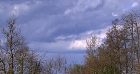 Menacing Storm Clouds Gather Above Leafless Trees As Rain Approaches Video stock 332563022