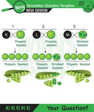 Mendelian genetics - heredity Illustrazione stock