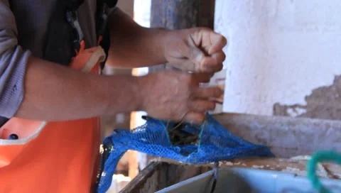 Mending Nets at Pearl Farm Stock Footage 1129368